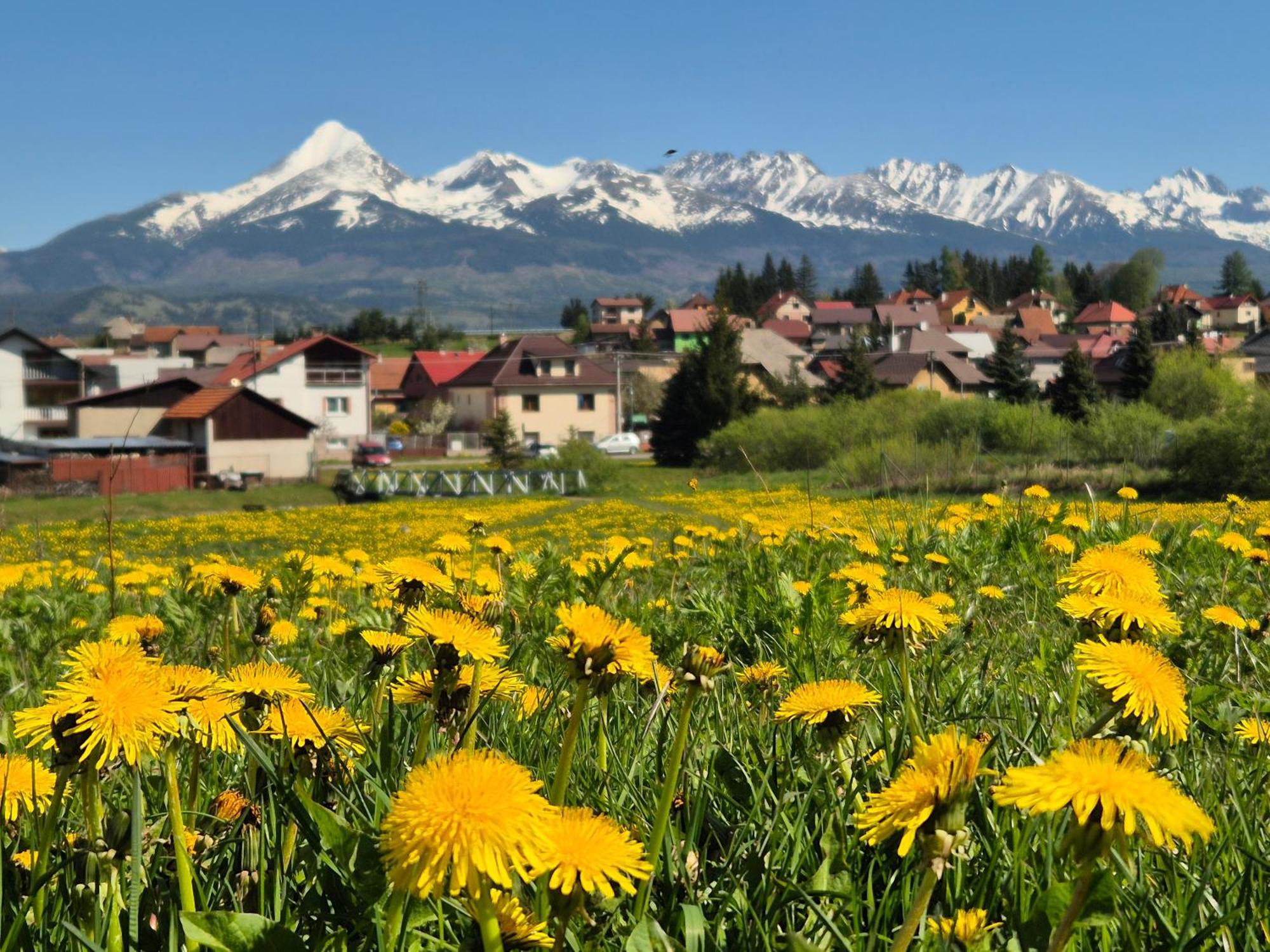 Apartmany Anicka Vo Vazci Važec Esterno foto